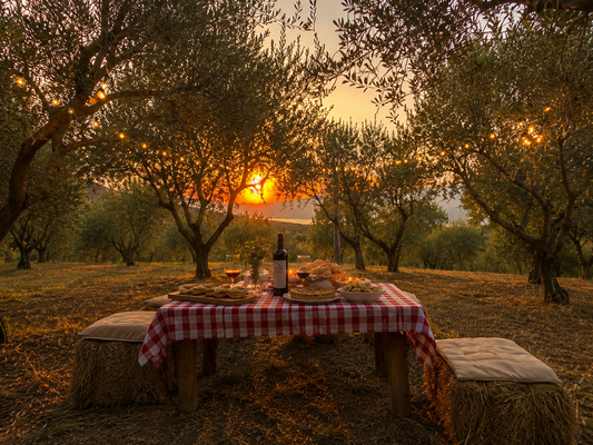 Clay & Picnic🍷 – Modellazione di argilla 30/05/26 Castellamare